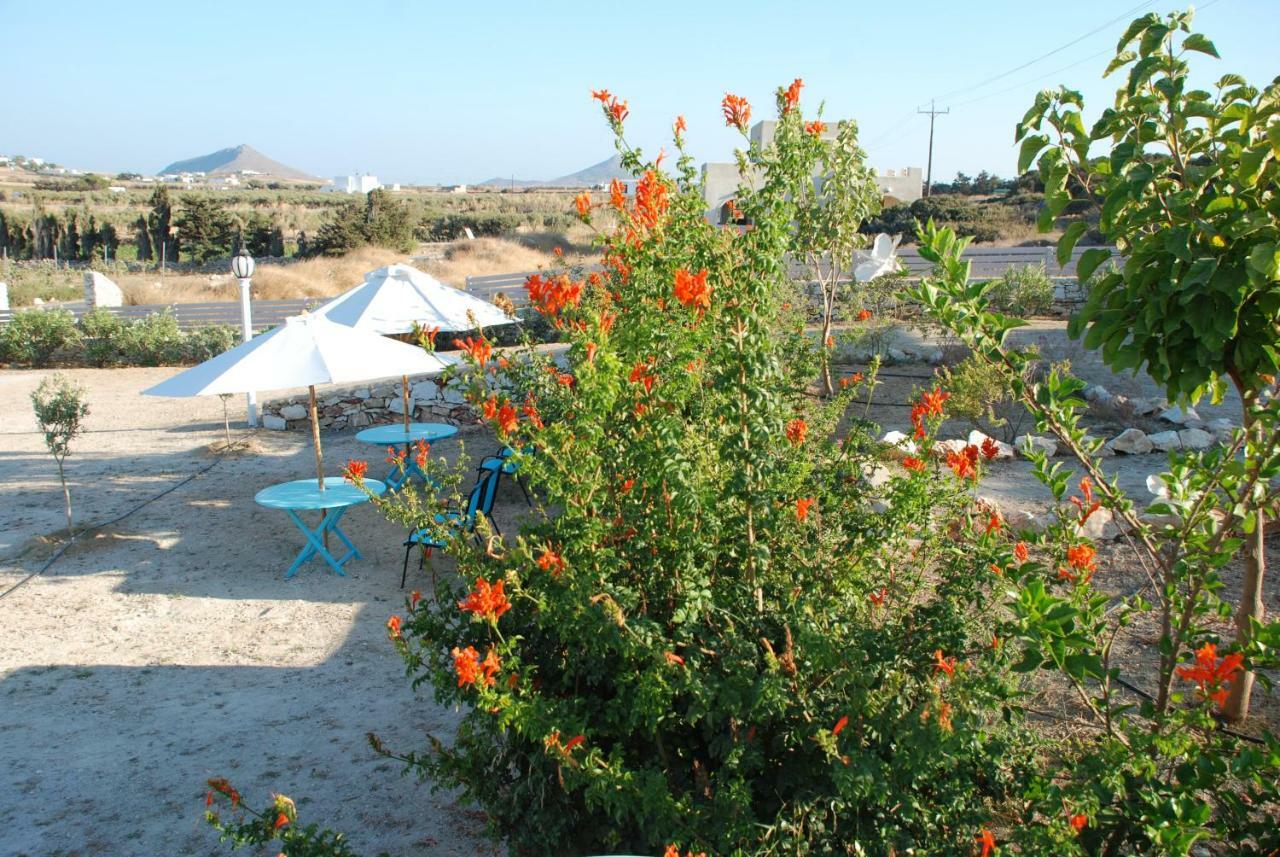 Holiday home Kampos Ambelas