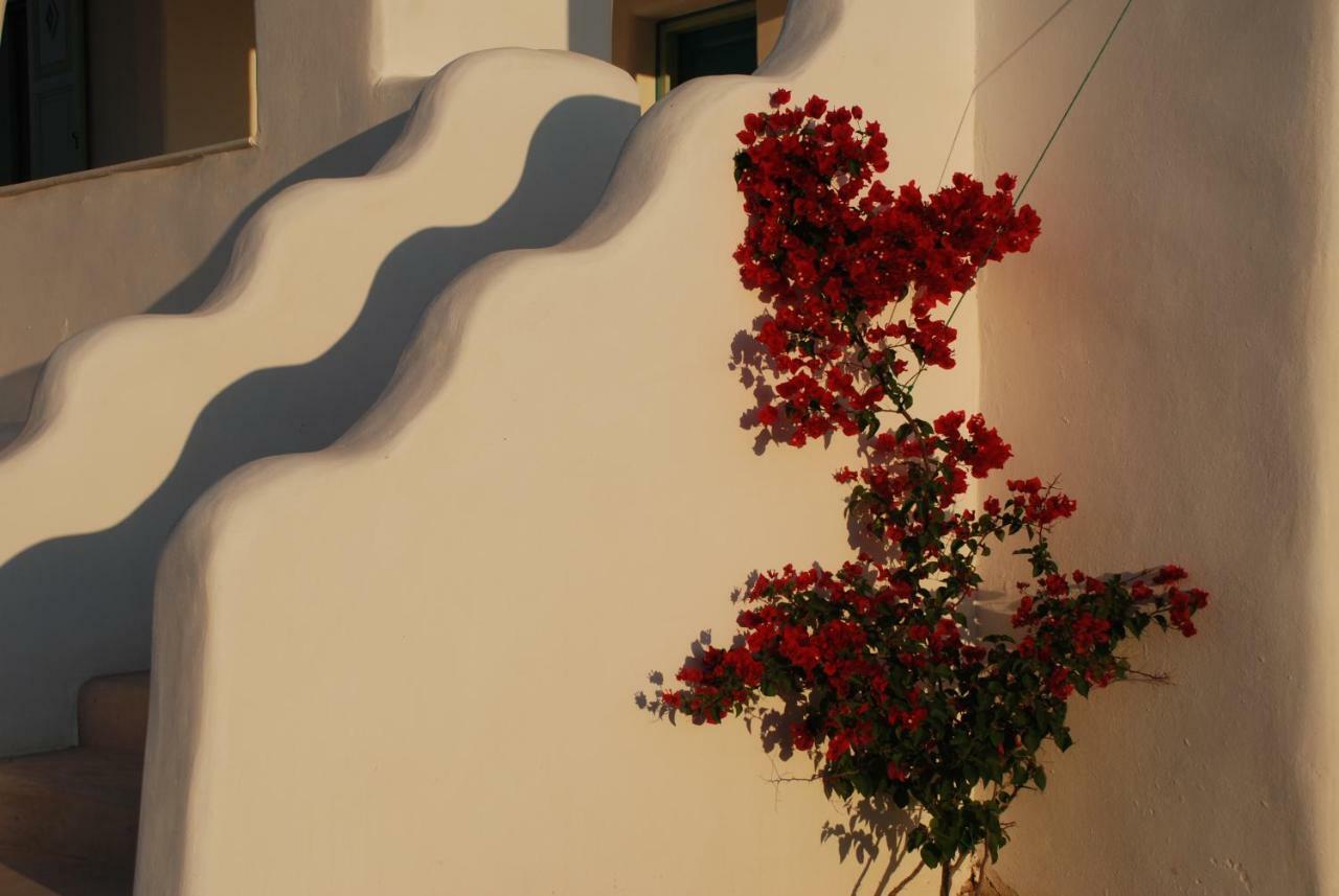 Holiday home Kampos Ambelas